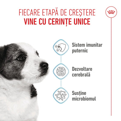 Royal Canin Mini Puppy hrana uscata caine junior