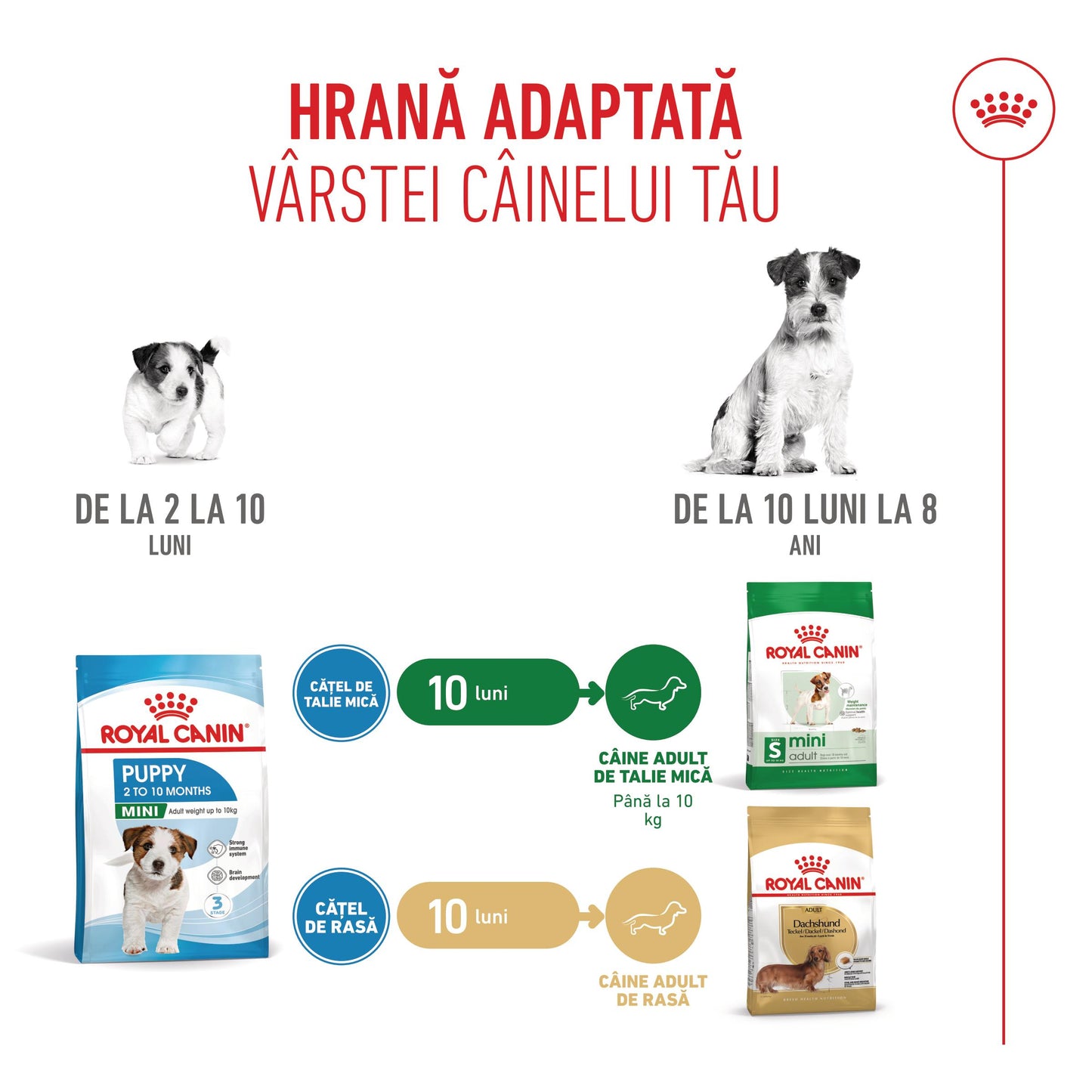 Royal Canin Mini Puppy hrana uscata caine junior