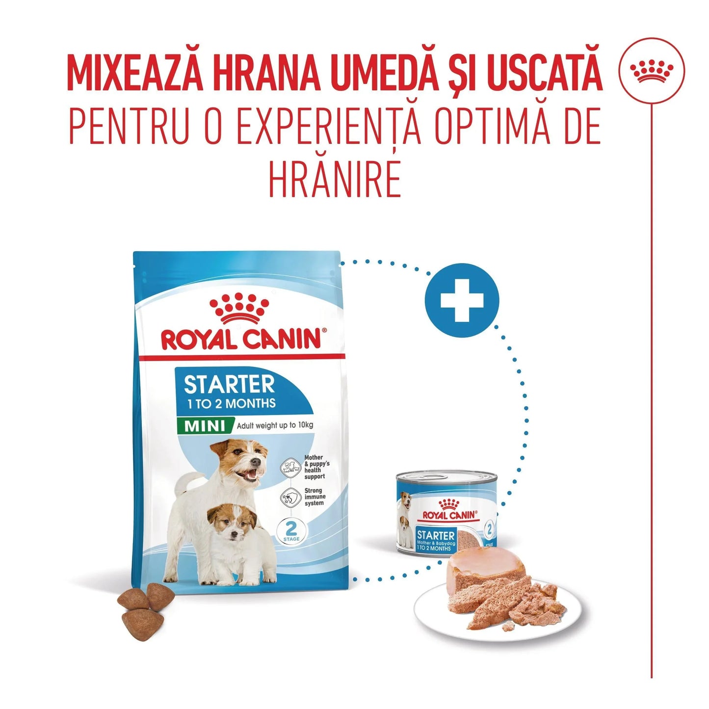 Royal Canin Mini Starter Mother & BabyDog, mama si puiul, hrana uscata caini - DalisPet