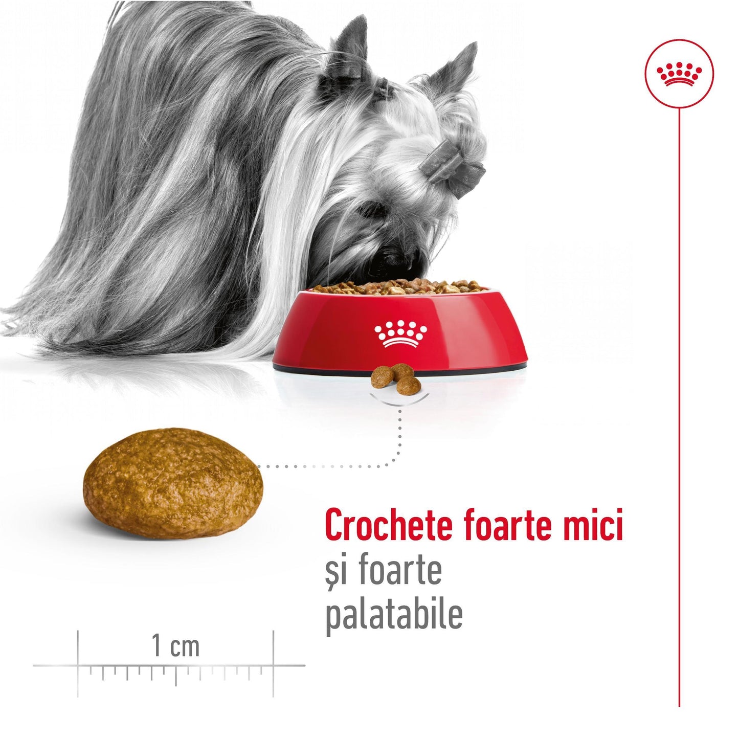 Royal Canin X-Small Adult hrana uscata caine