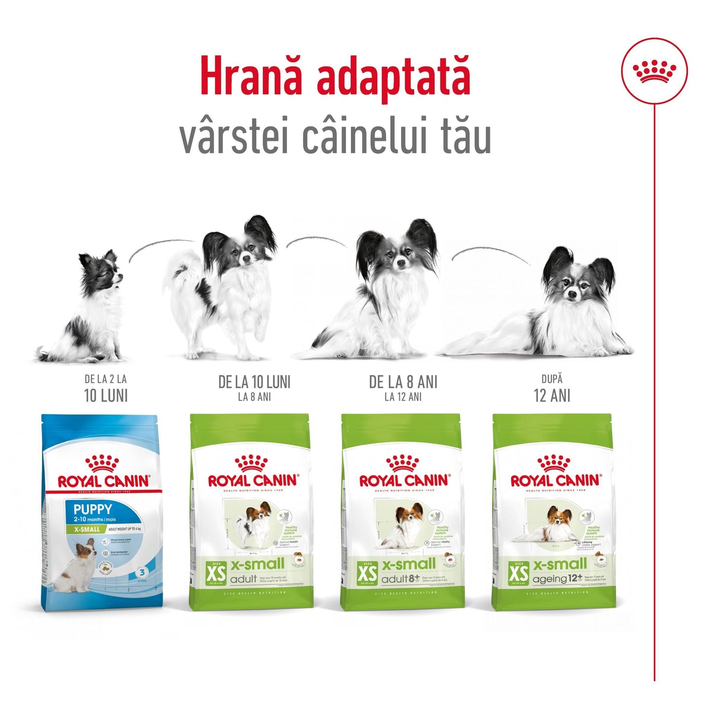 Royal Canin X-Small Adult hrana uscata caine