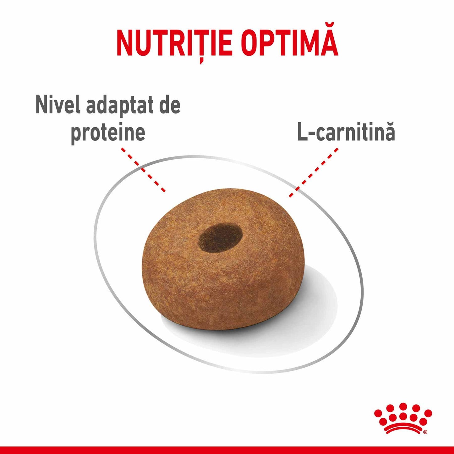 Royal Canin Maxi Light Weight Care Adult hrana uscata caine, limitarea cresterii in greutate