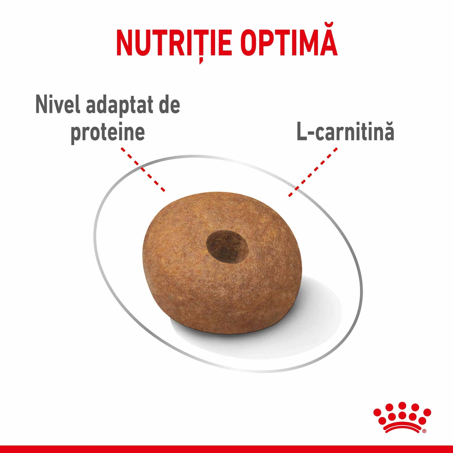 Royal Canin Medium Light Weight Care Adult hrana uscata caine, limitarea cresterii in greutate