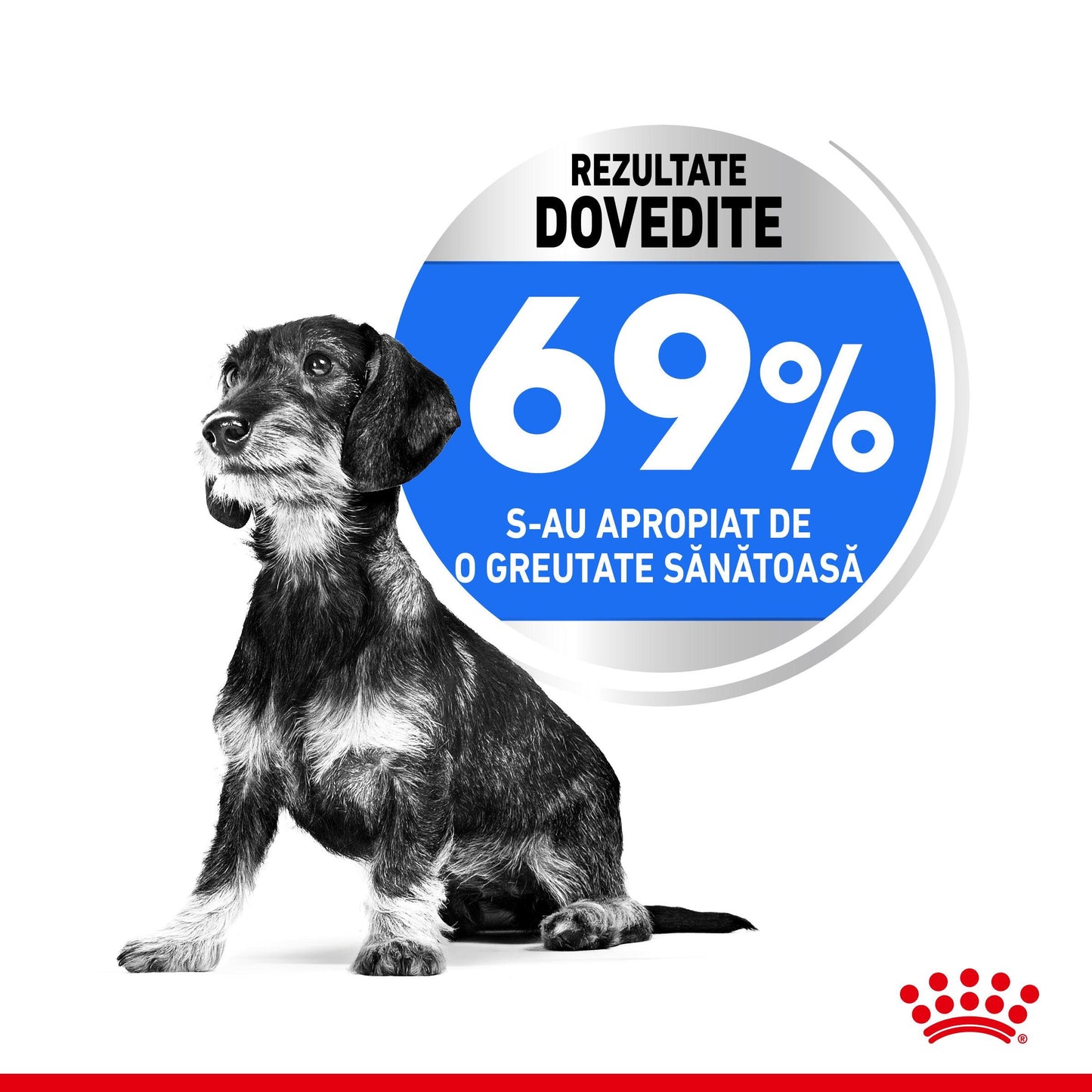 Royal Canin XSmall Light Weight Care Adult hrana uscata caine, limitarea cresterii in greutate