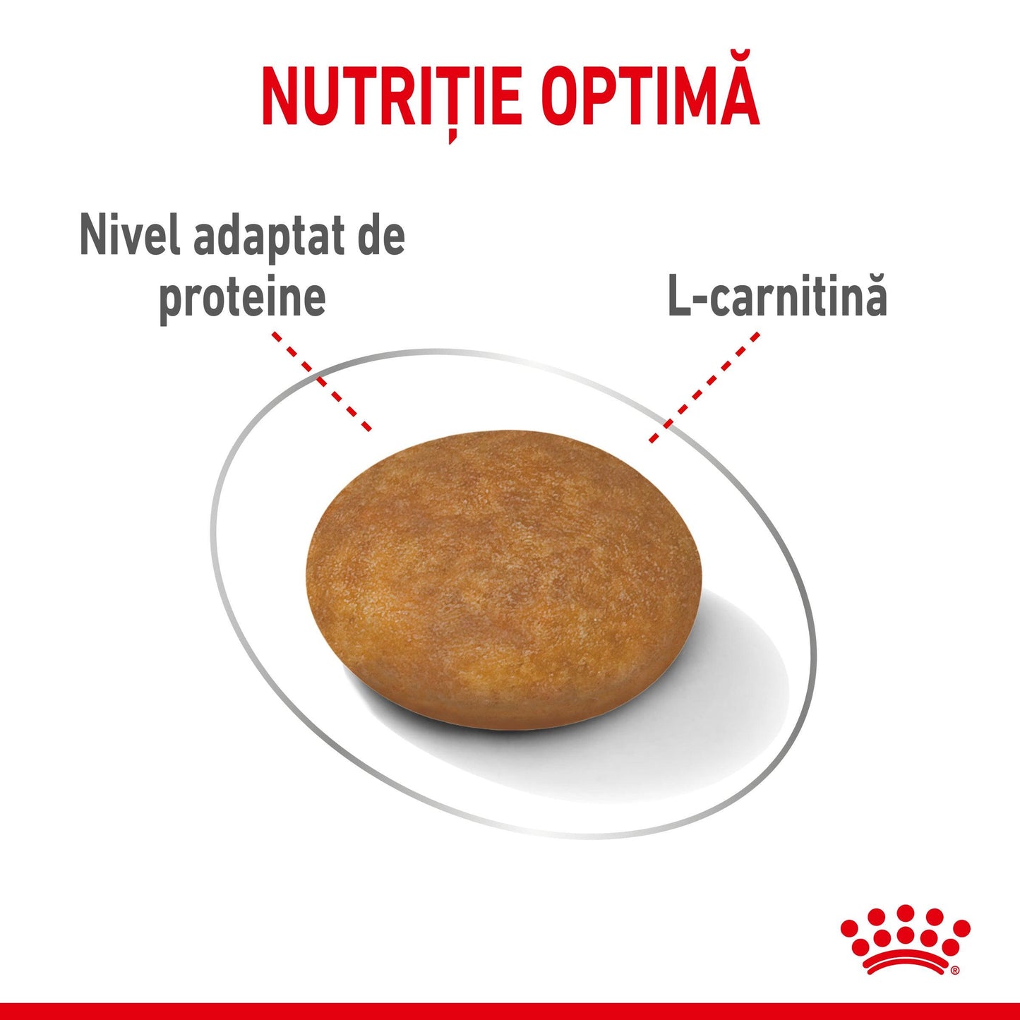 Royal Canin XSmall Light Weight Care Adult hrana uscata caine, limitarea cresterii in greutate