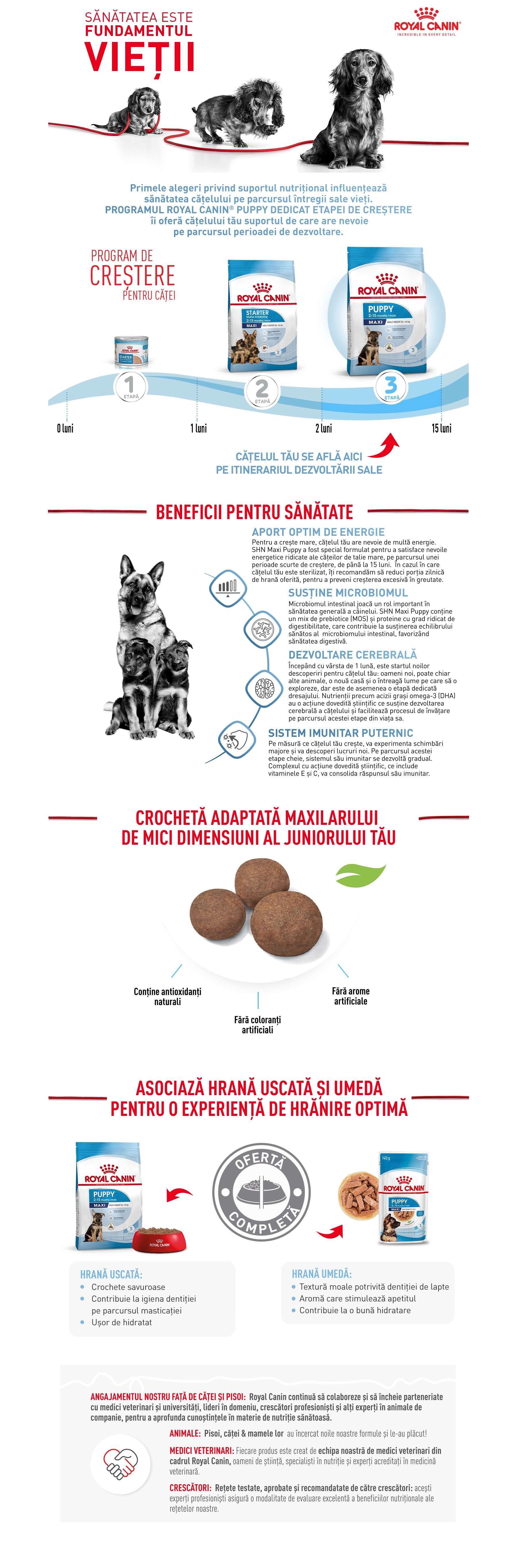 Fișier imagine asociat produsului
