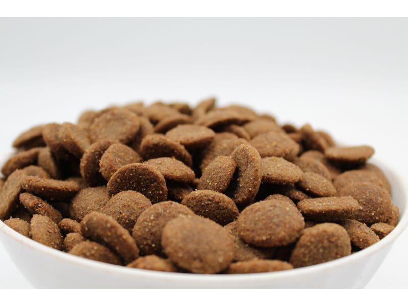 Hrana uscata pentru caini adulti FitActive hipoalergenic 5 reds 15 kg - DalisPet