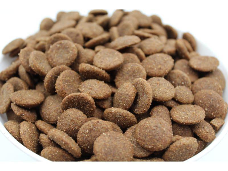 Hrana uscata pentru caini adulti FitActive hipoalergenic 5 reds 15 kg - DalisPet