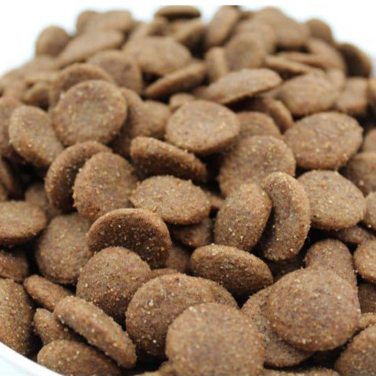 Hrana uscata pentru caini adulti FitActive hipoalergenic 5 reds 15 kg - DalisPet