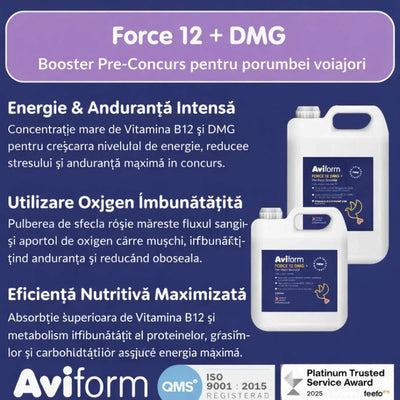 Aviform Force 12 booster pre concurs