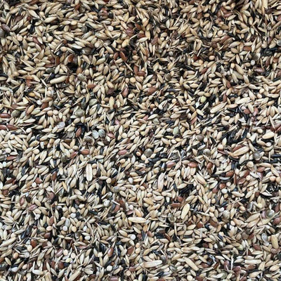 Hrana pentru Canari reproductie fara rapita Hobby First 20 kg - DalisPet