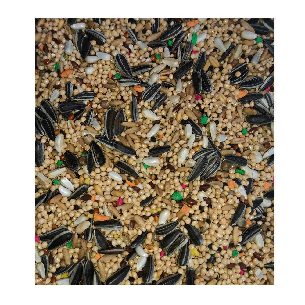 Close-up of mixed bird seed blend with sunflower seeds, millet, and colorful pellets for pet birds
