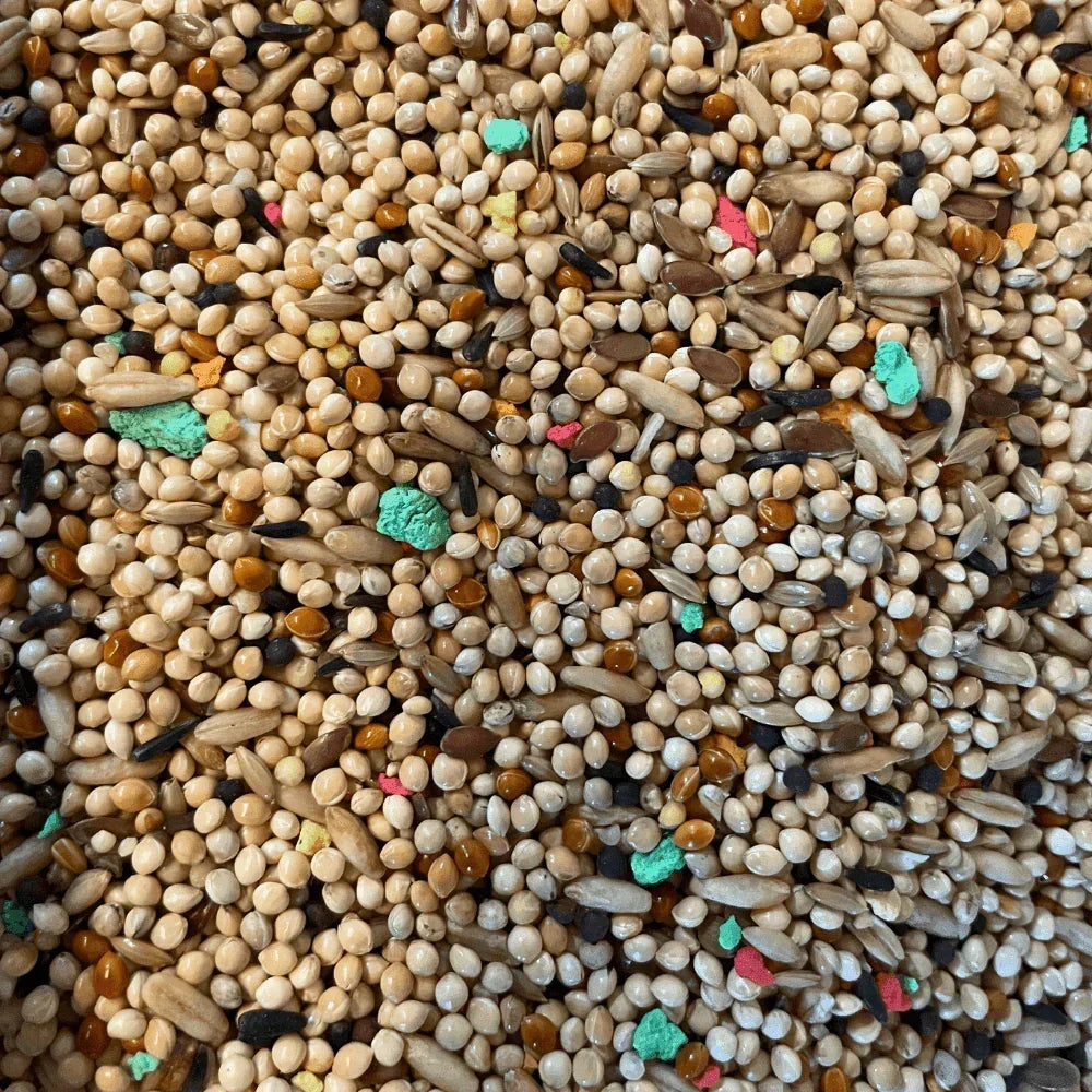 Close-up of mixed birdseed blend with millet, sunflower seeds, and colorful pellets for parakeet food