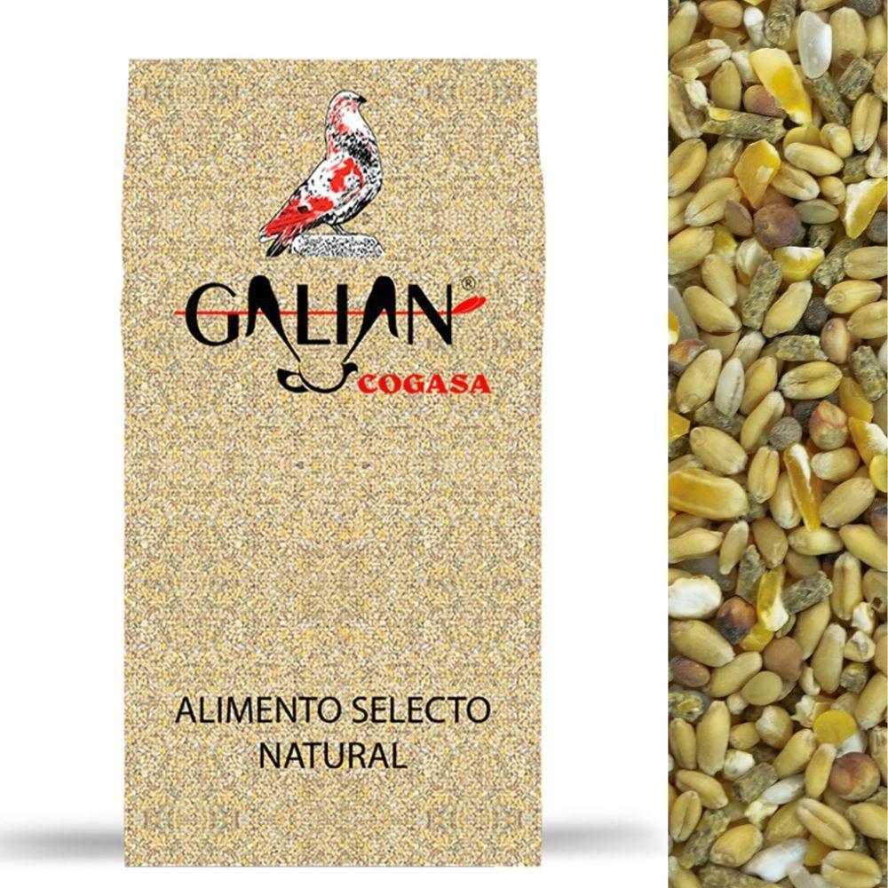 Galian Cogasa natural select birdseed mix with a pigeon logo and grains close-up