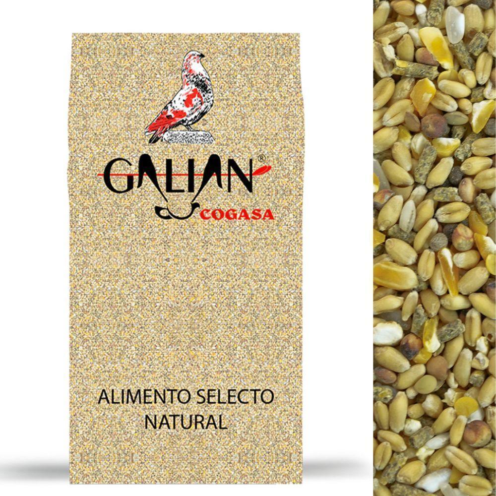 Galian Cogasa natural select birdseed mix with a pigeon logo and grains close-up