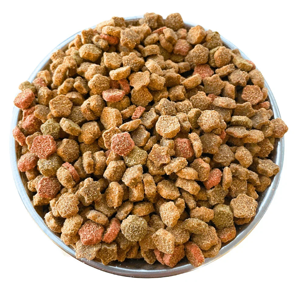 Hrana uscata pentru pisici cu somon 10 kg - DalisPet