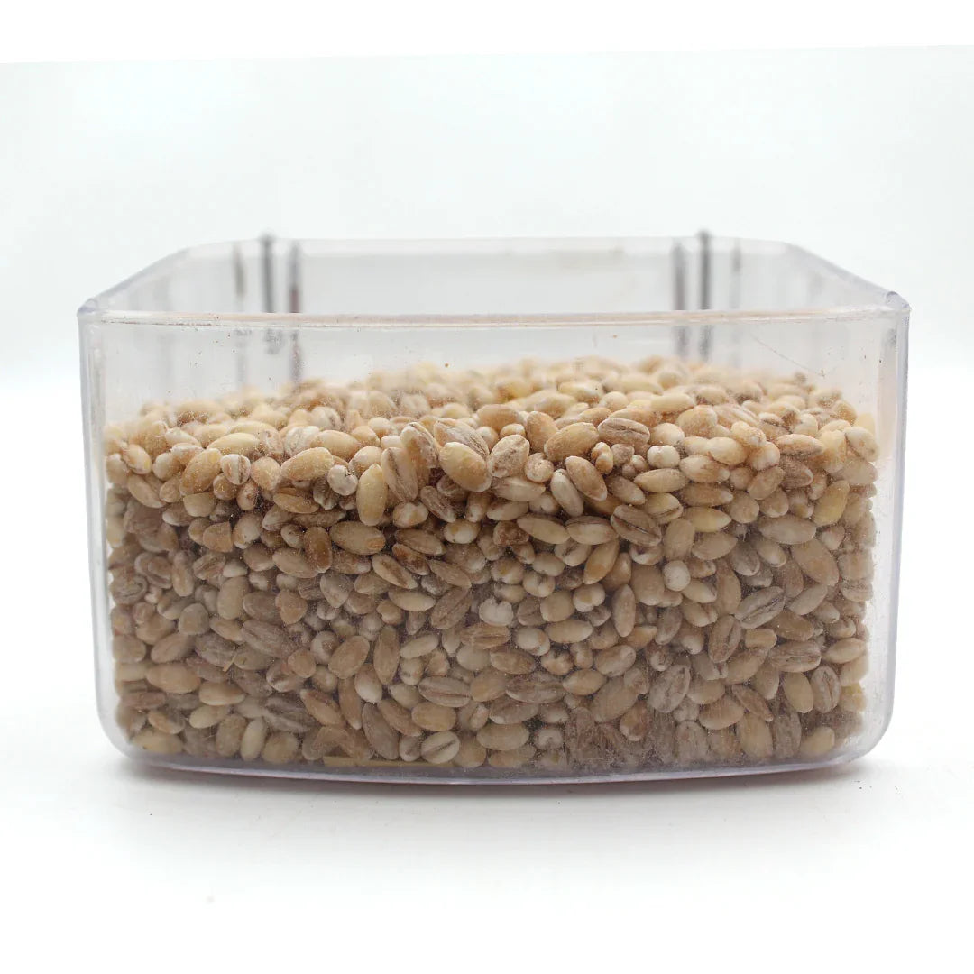 Hrană cerealieră pentru animale – orz decorticat