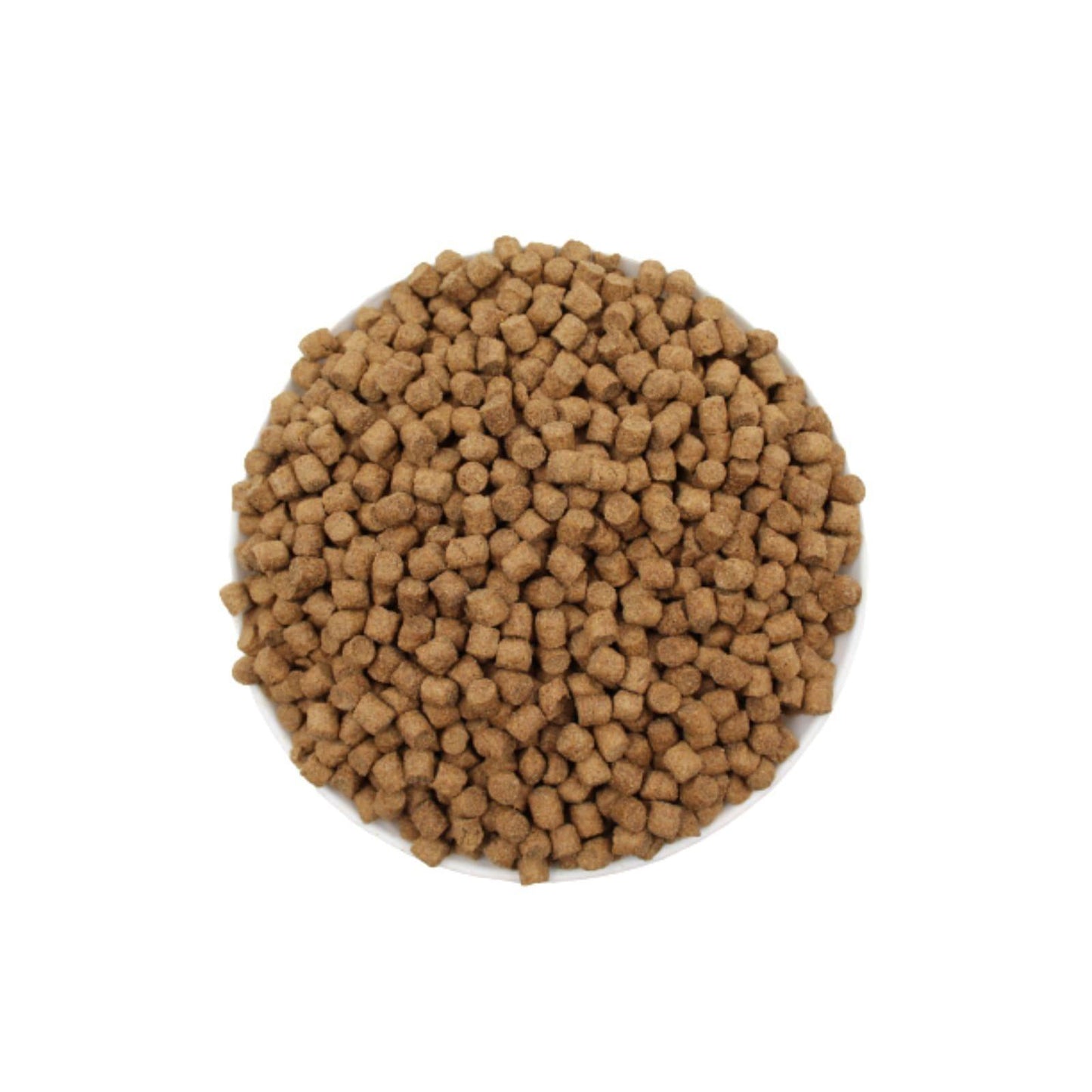 Hrana uscata pentru caini Power Dog junior 10 kg - DalisPet