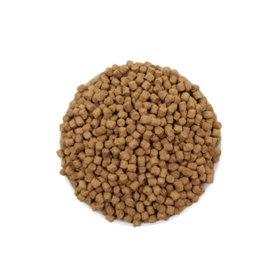 Hrana uscata pentru caini Power Dog junior 10 kg - DalisPet