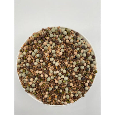 Hrana pentru porumbei Rohnfried Protein Mix 25 Kg - DalisPet