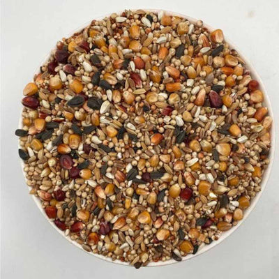 Hrana pentru porumbei Rohnfried Sport 25 kg - DalisPet