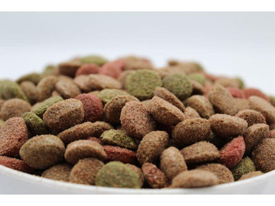 Hrana uscata pentru caini adulti Turbo cu vită 10 kg - DalisPet