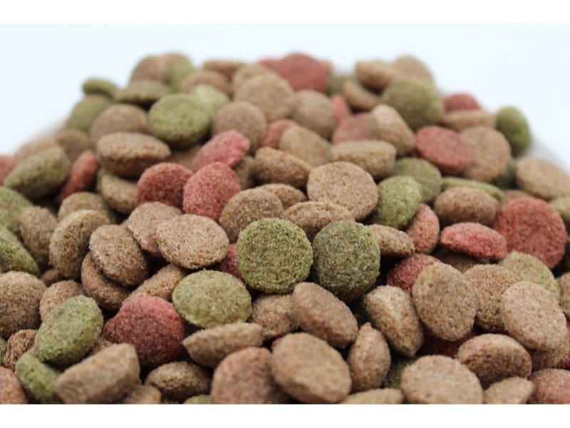 Hrana uscata pentru caini adulti Turbo cu vită 10 kg - DalisPet