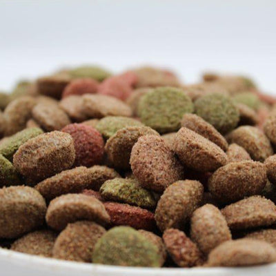 Hrana uscata pentru caini adulti Turbo cu miel 10 kg - DalisPet