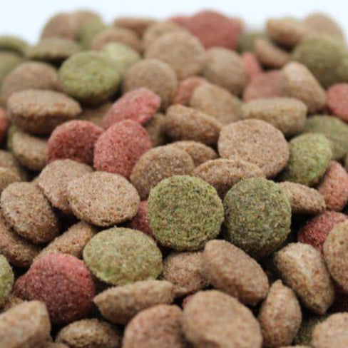 Hrana uscata pentru caini adulti Turbo cu miel 10 kg - DalisPet