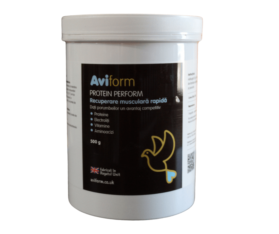 Aviform Protein Perform 500g tub for rapid muscle recovery with proteins, electrolytes, vitamins, and amino acids