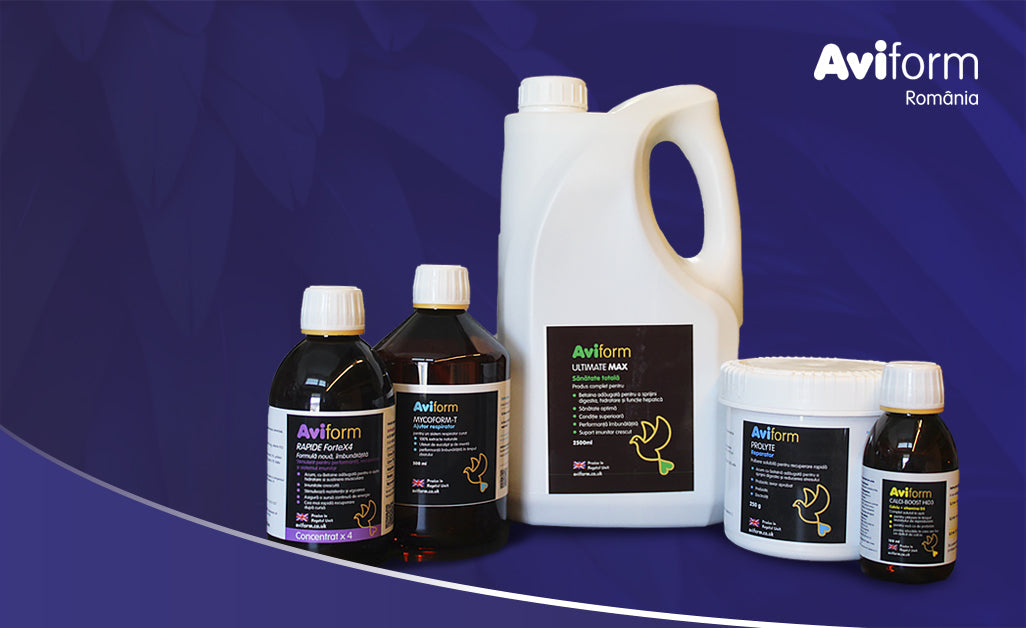Aviform suplimente pentru porumbei