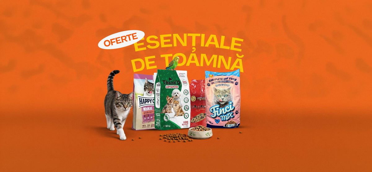 Oferte sezoniere și tematice