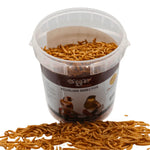 Container of Acualian Insectos dried mealworms for bird feeding with mealworms spilled around
