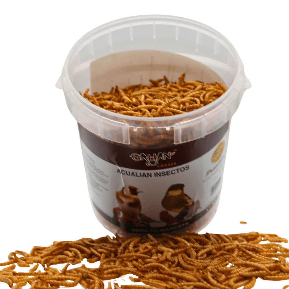 Container of Acualian Insectos dried mealworms for bird feeding with mealworms spilled around