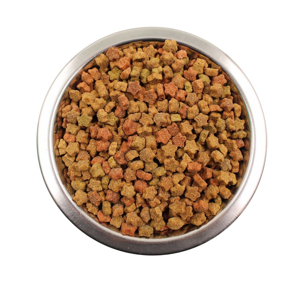 Metal bowl filled with multi-colored star-shaped dry pet food kibbles
