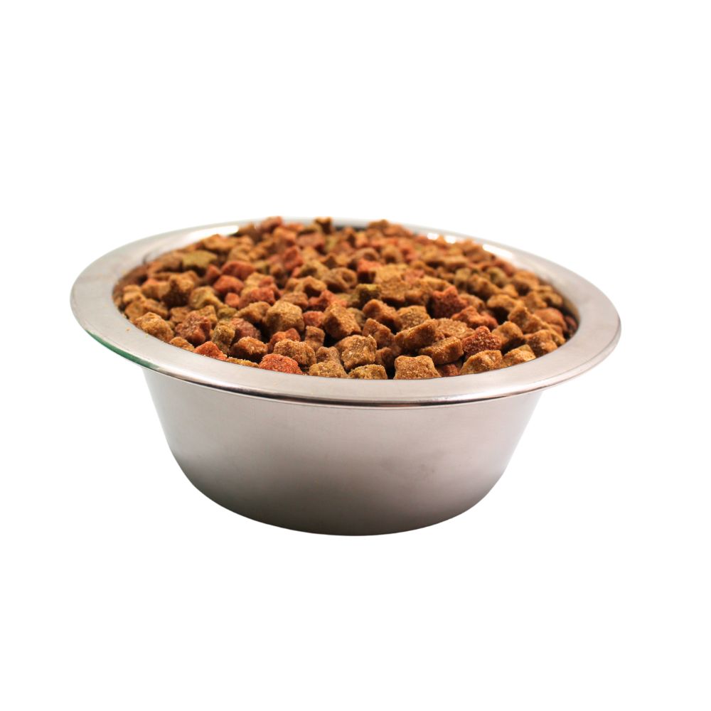 Metal bowl filled with dry multi-colored pet food kibble on white background