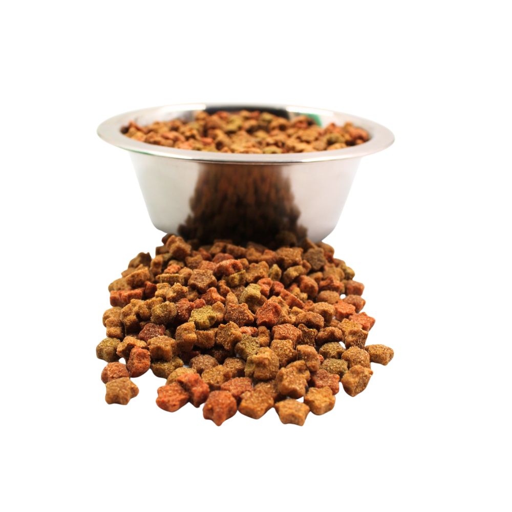 Metal bowl filled with dry multicolored kibble pet food spilling on white background