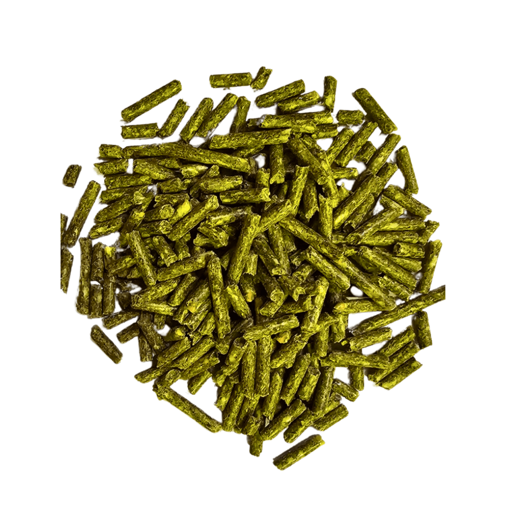 Close-up of green alfalfa pellets on a white background for animal feed