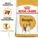 Royal Canin Adult Beagle dog food bag with breed-specific nutrition and ideal weight support