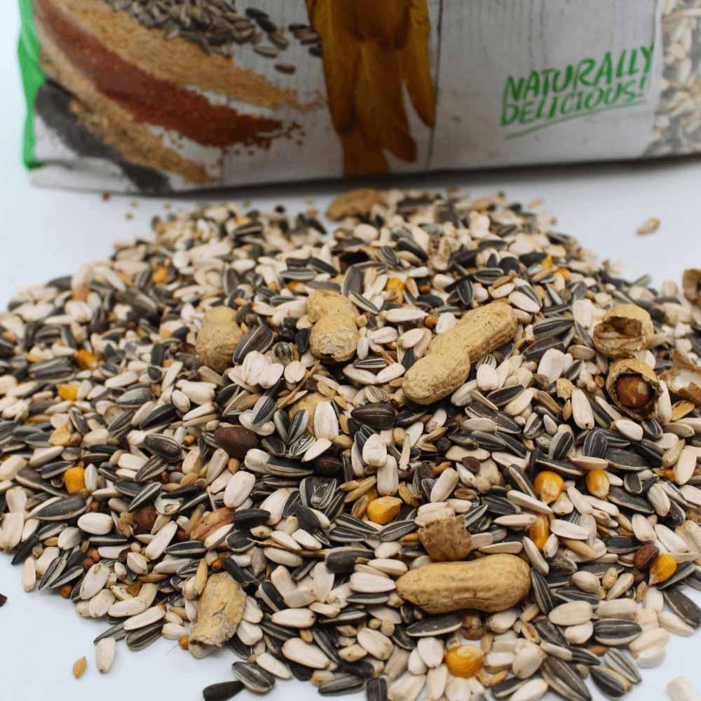 Mixed birdseed with sunflower seeds, peanuts in shell, and corn kernels spilled on white surface