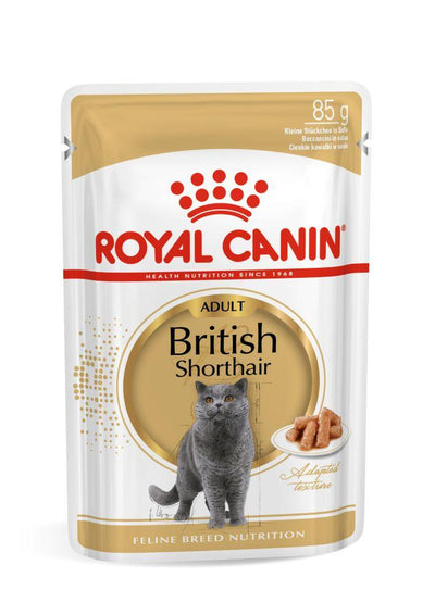 Royal Canin British Shorthair Adult hrana umeda pisica (in sos)