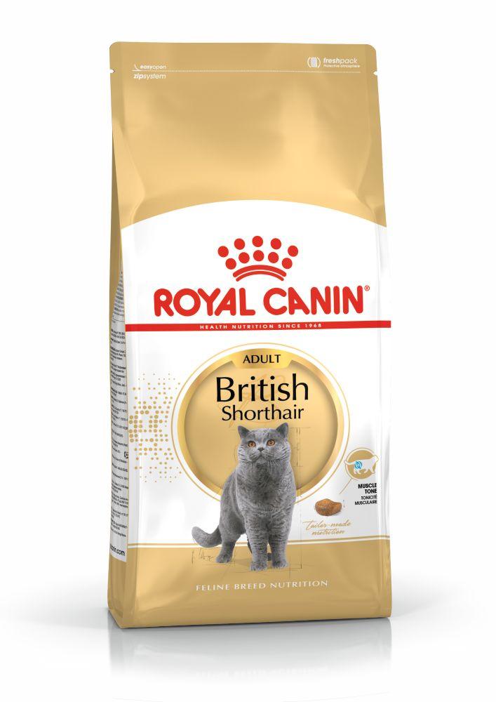 Royal Canin adult British Shorthair cat food bag with gray cat image, muscle tone nutrition