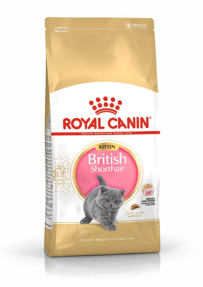 Royal Canin kitten food package for British Shorthair with gray kitten image and gold-white design