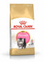 Royal Canin Persian Kitten hrana uscata pisica junior