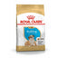 Royal Canin Bulldog Puppy hrana uscata caine junior