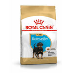 Royal Canin Rottweiler puppy dry dog food bag with image of Rottweiler puppy and blue and gold design
