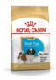 Royal Canin Shih Tzu Puppy hrana uscata caine junior