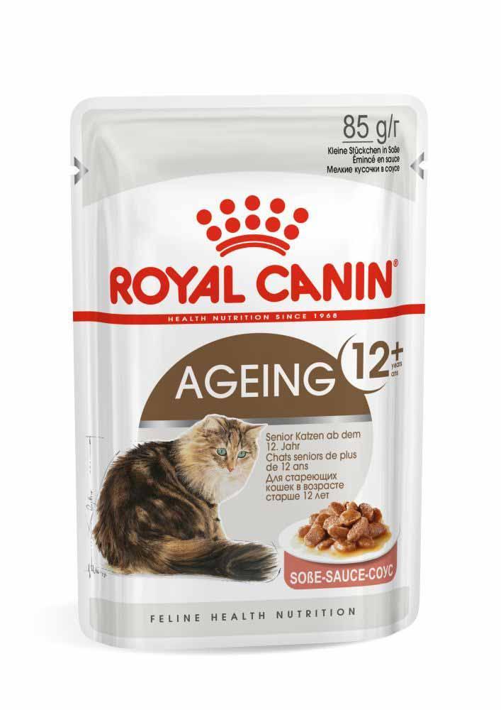 Royal Canin Ageing 12+ cat food pouch for senior cats with gravy, featuring a tabby cat image