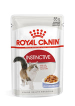 Royal Canin Instinctive adult cat food pouch with cat image and jelly slices
