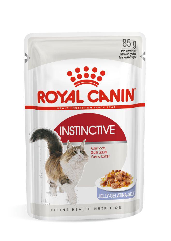 Royal Canin Instinctive adult cat food pouch with cat image and jelly slices
